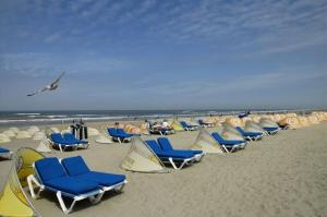Un montón de sillas de jardín en una playa en Life@Sea, en Zandvoort