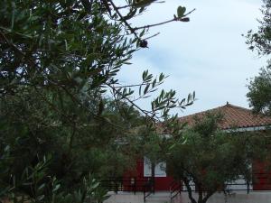 a red house with a red roof and trees at Zante Green View in Ambelókipoi