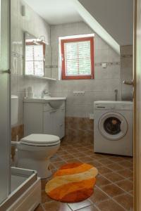 y baño con aseo y lavadora. en Apartments Petek, en Gornji Grad