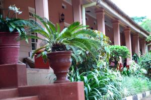 Gallery image of Masindi Hotel in Masindi