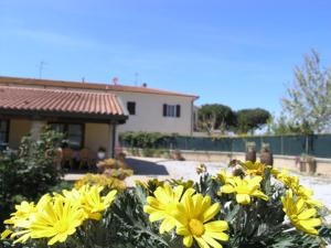 Zahrada ubytování Agriturismo Podere San Michele