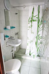 ウェバにあるBalticのバスルーム(洗面台、トイレ、シャワーカーテン付)