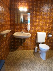 uma casa de banho com um WC, um lavatório e um espelho. em Einfache Unterkunft em Michelstadt