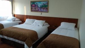 Un pat sau paturi într-o cameră la Hotel Newen