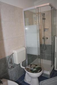 a bathroom with a toilet with a glass shower at Apartments "NONO" in Mlini