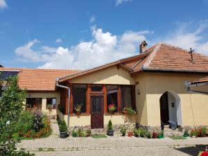 a small house with flowers in the window at Ana-Dragusana in Drăguş