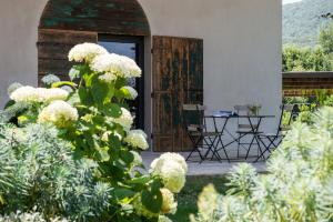 A garden outside Relais Casale Valigi