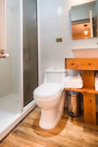 a bathroom with a toilet and a shower and a sink at Abriga Bed and Breakfast in Coihaique