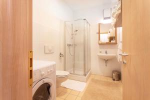 Koupelna v ubytování Apartma Luna + 21 fotografií