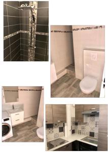 four pictures of a bathroom with a toilet and a sink at Centre ville Colmar, parking in Colmar