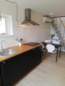 a kitchen with a sink and a counter top at Søhuset in Viborg