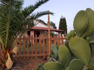 a house with a fence and a bunch of cactus at Il Poggio Stellato in Grosseto