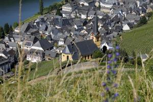 ウルツィヒにあるFerienhaus Moselblick mit kostenfreien ÖPNV-Ticketの家屋が並ぶ丘の上の村