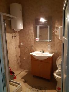 a bathroom with a sink and a toilet at Stankovic Apartman in Vranje