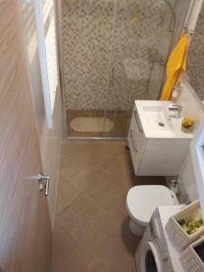 Koupelna v ubytování Apartman Laura