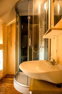 y baño con lavabo y ducha. en SunFlower Camping Savudrija, en Savudrija
