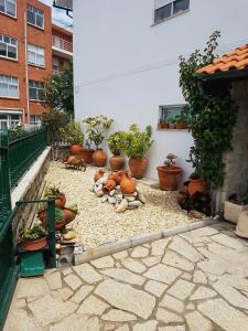 a courtyard with potted plants and potted plants at Casa do Artesanato in Vila Nova de Cerveira