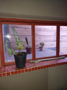 Photo de la galerie de l'établissement El Tamarisco, à Puerto Pirámides 25 autres photos