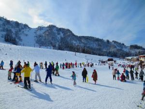 Hosté ubytování Ichirino Kogen Hotel Roan