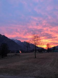 una puesta de sol en un campo con un árbol y montañas en Boscotenso, en Premosello Chiovenda