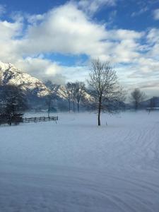 a snow covered field with a bench and trees at Boscotenso in Premosello Chiovenda