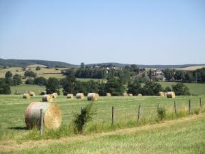 a herd of hay bales in a field at "Le Jardin de Zola", Longère XIXème en BOURGOGNE, grand jardin in Lurcy-le-Bourg