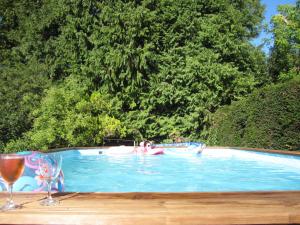 a woman in a pool with two glasses of wine at La Croix du Reh in Châteauneuf-la-Forêt