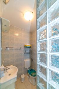 a bathroom with a toilet and a sink and a glass wall at Villa Blue in Selce +44 photos