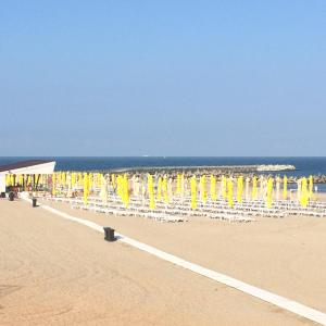 a beach with chairs and umbrellas on the beach at Seawave Beach in Constanţa