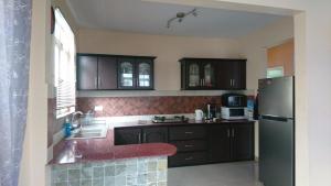 a kitchen with black cabinets and a black refrigerator at Sunile Villa in Flic-en-Flac