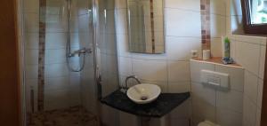 a bathroom with a shower with a sink at Ferienhaus Moosbachtal Thüringer Wald bei Oberhof in Rotterode