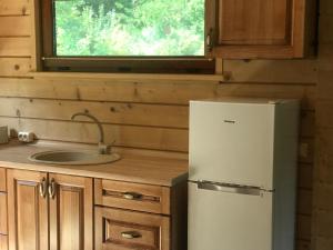 a kitchen with a refrigerator and a sink at Rancho 555 in Uzhhorod