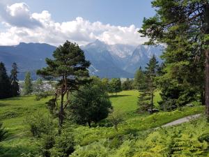 zielone pole z drzewami i górami w tle w obiekcie Landhaus Waldrebe w mieście Grainau