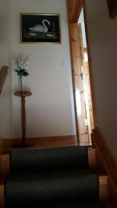 Scapaflow B&B 휴식 공간