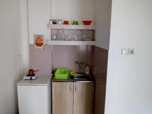 una pequeña cocina con fregadero y nevera. en Apartment Minimal, en Novi Sad