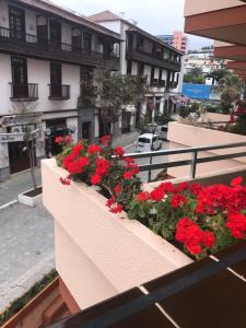 eine Fensterbox mit roten Blumen auf einem Gebäude in der Unterkunft Apartamento Puerto de la Cruz in Puerto de la Cruz