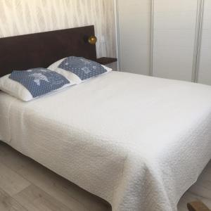 uma cama com lençóis brancos e almofadas azuis em Instant d'Evasion em Bar-sur-Aube