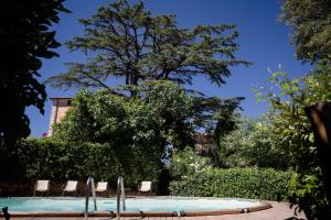 a swimming pool with chairs and a tree at Palazzo La Fenice in Massa Marittima