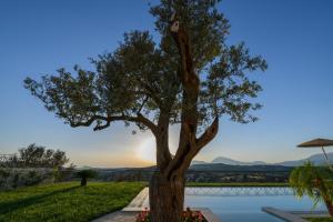 The swimming pool at or close to Villa Salla