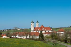 Příroda nedaleko hotelu