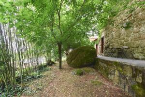 a tree and a rock next to a stone wall at Quinta De Abol De Baixo in Entre-os-Rios