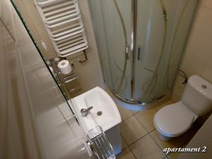 een badkamer met een douche, een toilet en een wastafel bij Apartamencik z Widokiem Na Giewont in Zakopane