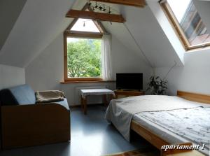 een slaapkamer met een bed, een tv en een raam bij Apartamencik z Widokiem Na Giewont in Zakopane