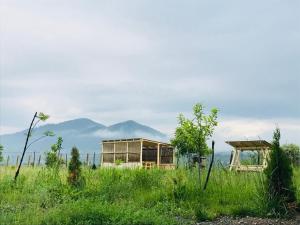 a house in a field with mountains in the background at Vila Blanca in Alexandru cel Bun