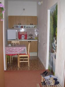 Kuchyň nebo kuchyňský kout v ubytování Penzion Hlinkova