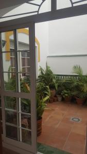 an open door to a patio with potted plants at Casa sol in Vélez-Málaga +33 photos