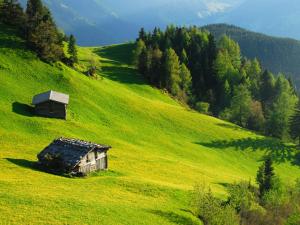 a green grassy hill with two buildings on it at Apartment Emma in Mayrhofen