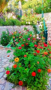 a garden filled with lots of colorful flowers at Apartment Voula Myrtos in Anomeriá