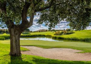 a tree sitting next to a pond on a golf course at Crowne Plaza - Caparica Lisbon in Costa da Caparica