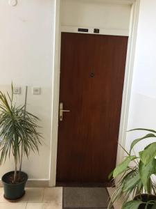 a door in a hallway with a plant next to it at Apartment Subota in Mali Lošinj